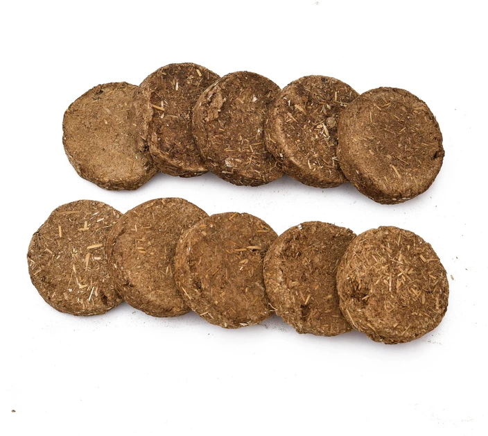 Cow dung cakes